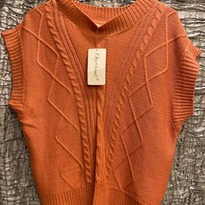 V-Neck Sweater in Vibrant Orange Women’s L  NWT